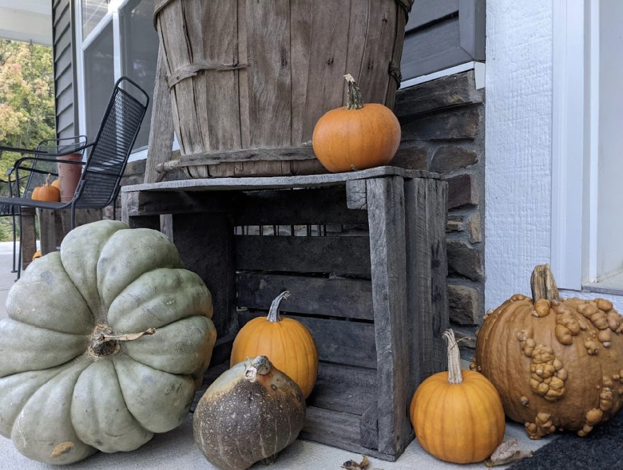 For Halloween many individuals decorate the exterior of their houses with fall-themed decorations. “We set pumpkins outside, and we sometimes have a scare-crow,” Clay Garner, sophomore, says.