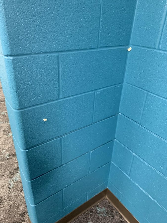 Gum stuck to new blue wing wall.