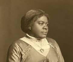 Mary McLeod Bethune (1875-1955) was an American Educator, Humanitarian,

Feminist, civil rights activist.  She was one of the earliest black female activists

to begin the building blocks of the civil rights movement. Bethune devoted her entire life to fight for equality in education and for the freedom and end to discrimination for all African Americans according to Womanist History.