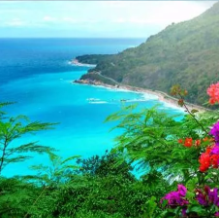 Dominican Republic - A photo of the Dominican coastline showing blue water, clear skies and lush vegetation. Salcedo states that this tour is one of the more adventurous options for 2023. Photo credit: westervilleworldwide.com

