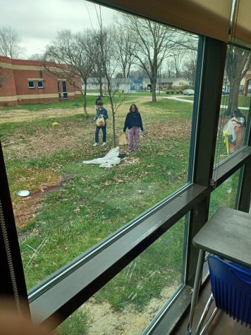Bell shown with the other unnamed students as well as Sumira Adhakari, freshman, seen at the right, approach a large piece of tarp wrapped around a tree.