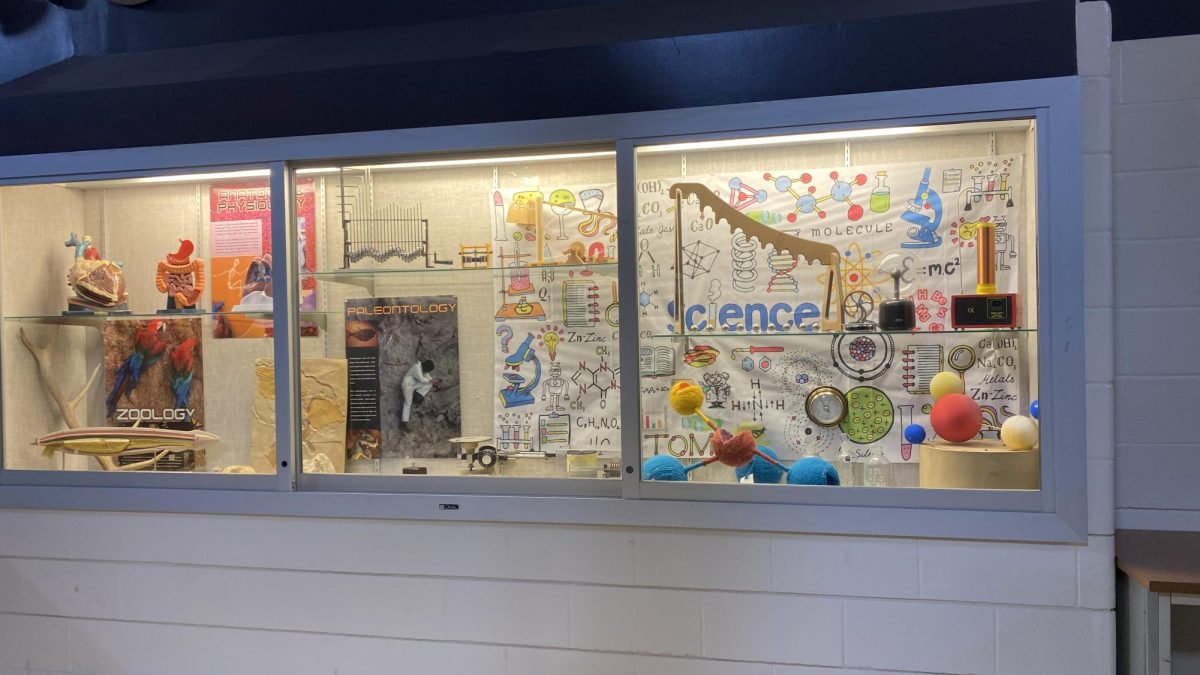 From the digestive system (anatomy) to the 3D models of molecules, this display case, located in the green wing, showcases the various branches of science and science courses offered at Westerville South.