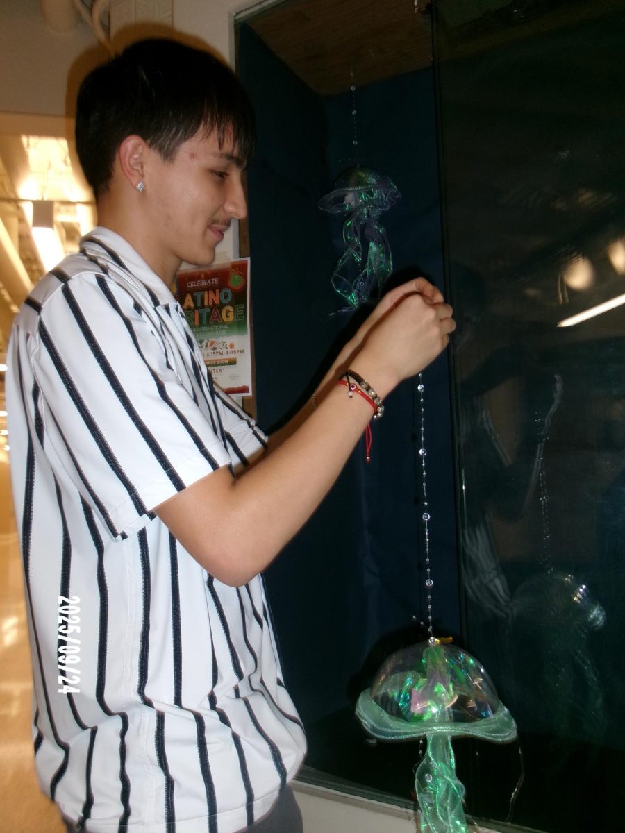 Student council president senior Mark Chavez decorates the display case between the green and blue wings  with jellyfish of green and blue colors, preparing for Westerville South's Ocean Oasis themed Homecoming!