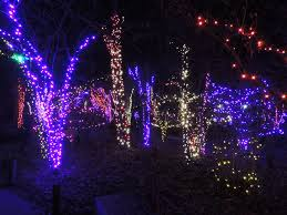 Over 3 million LED lights strung up over the Columbus Zoo, open to see from Nov. 21 to Jan. 4
